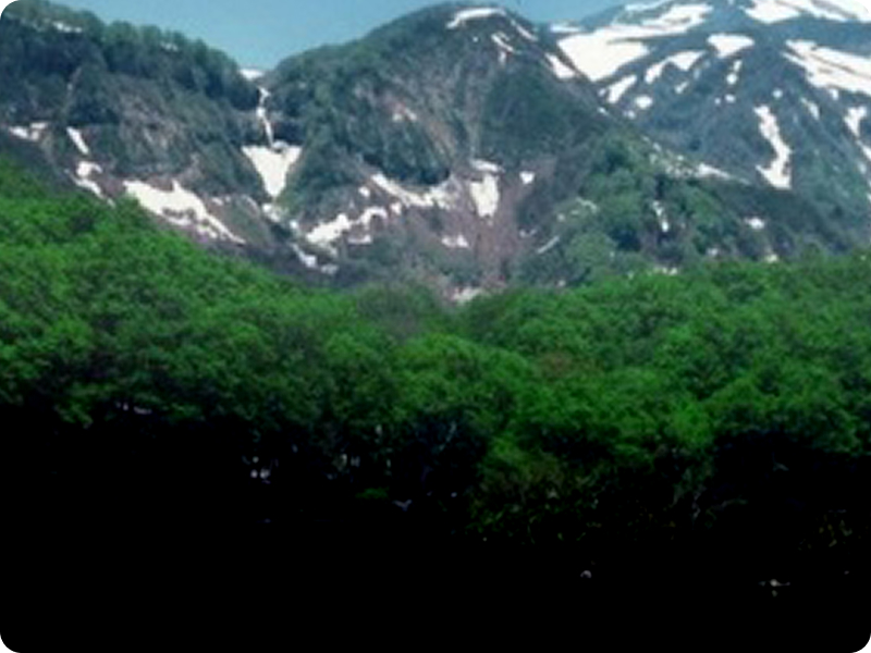 鳥海山